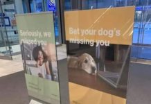 Miss your life? dont care, back to work wagie