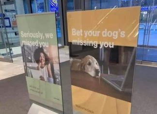 Miss your life? dont care, back to work wagie